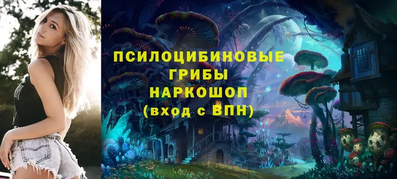 Псилоцибиновые грибы Cubensis  хочу   Алапаевск 